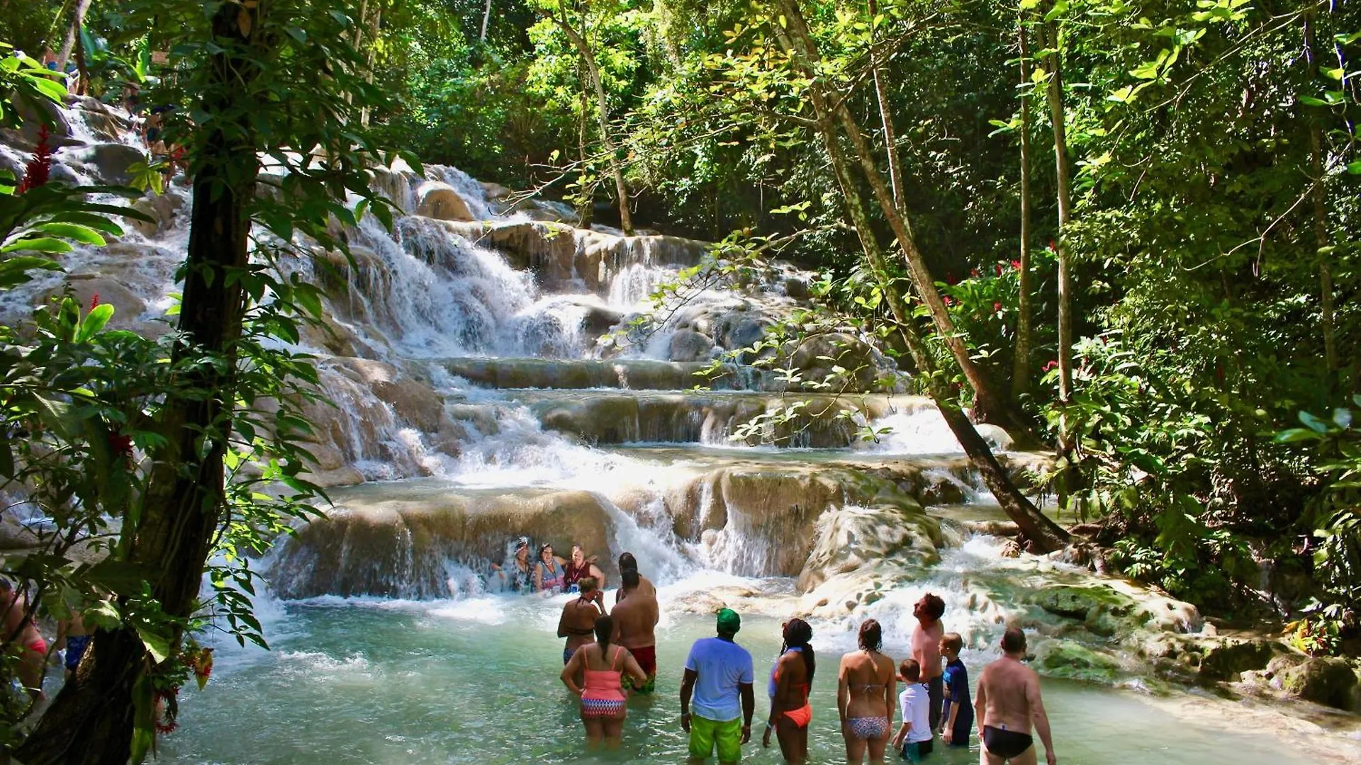 Chrisanns Paradise Suite By The Ocean - Apt#9 Ocho Rios Apartment