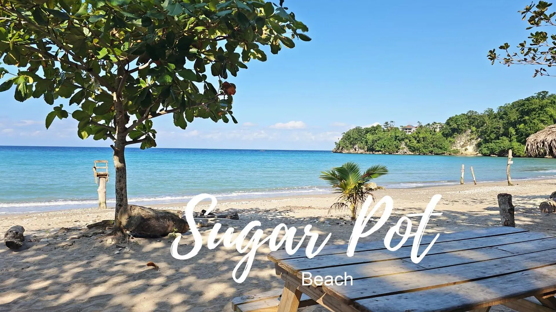 Chrisanns Paradise Suite By The Ocean - Apt#9 Ocho Rios Apartment